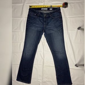 Buckle BKE Payton Bootcut